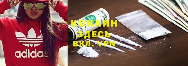 прущие грибы Бронницы