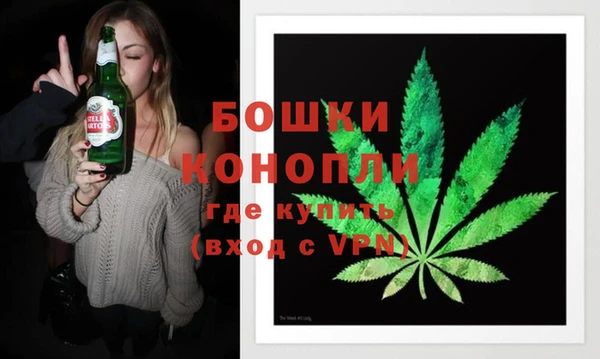 прущие грибы Бронницы