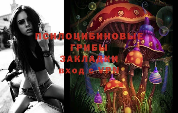 МДМА Бородино