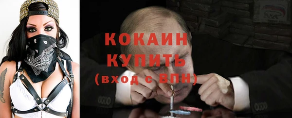 прущие грибы Бронницы