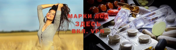 прущие грибы Бронницы
