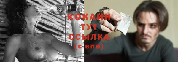 прущие грибы Бронницы