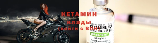 прущие грибы Бронницы