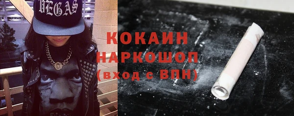 прущие грибы Бронницы