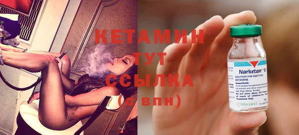 прущие грибы Бронницы