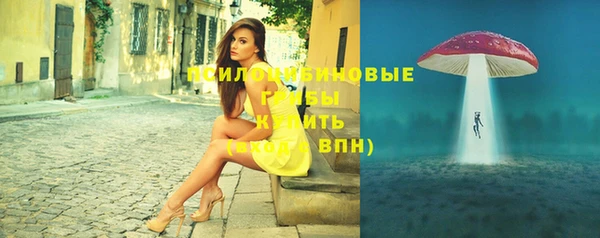 МДМА Бородино