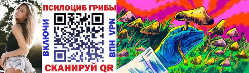 Галлюциногенные грибы Psilocybe  Туапсе 